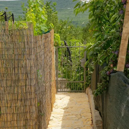 فيلة Apartman Gizdavac *