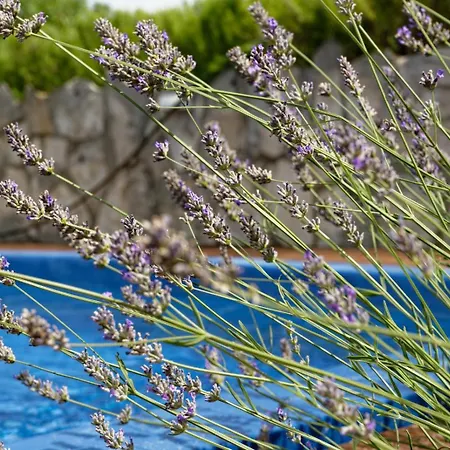 Apartman Gizdavac فيلة