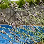 Apartman Gizdavac Villa