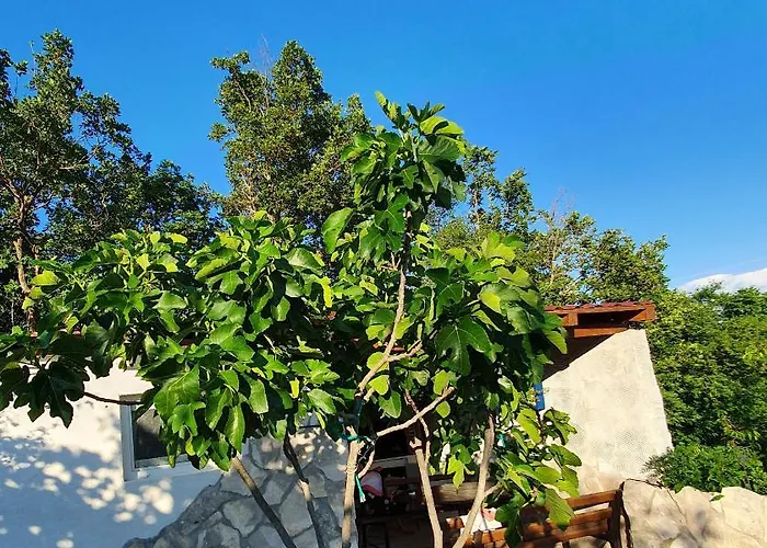 Apartman Gizdavac