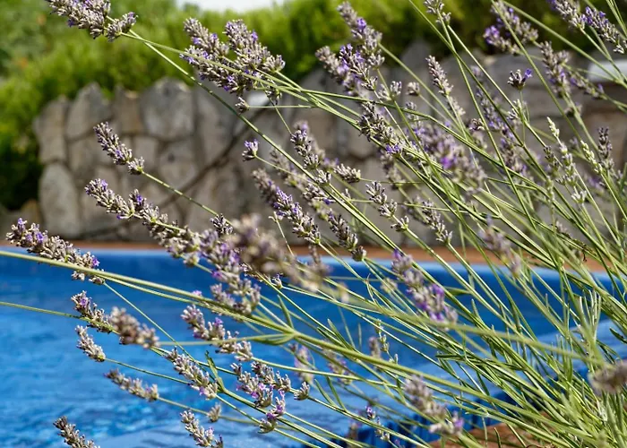Apartman Gizdavac Villa